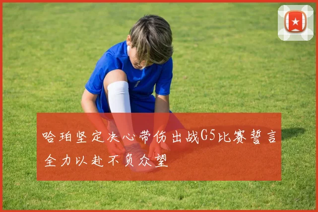 哈珀坚定决心带伤出战G5比赛誓言全力以赴不负众望